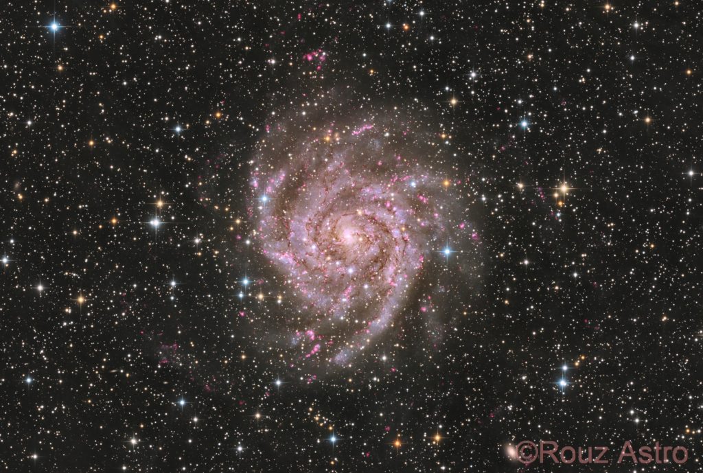 BONZoUng9oGd 1824x0 9ef04SC5